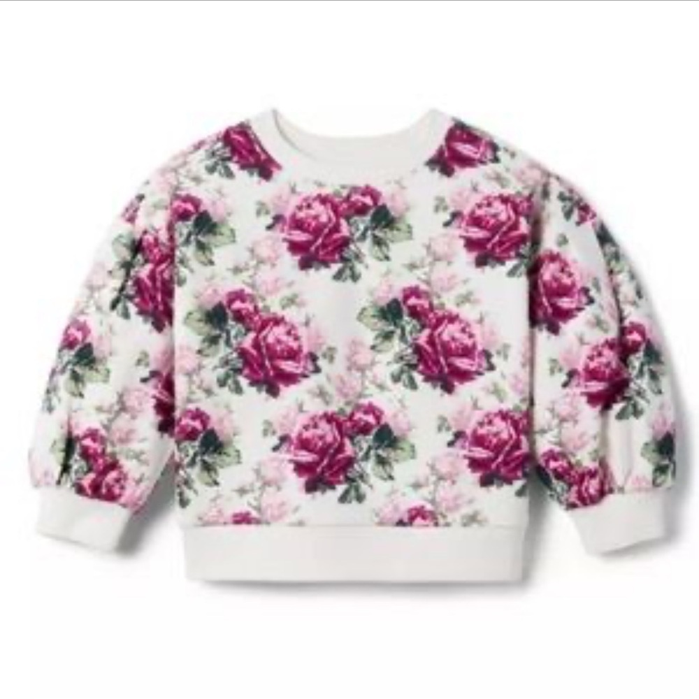 Janie and Jack purple and pink floral print puff sleeve sweatshirt